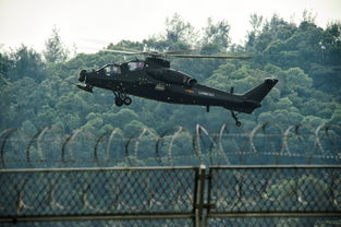 中国武装直升机（中国武装直升机型号）