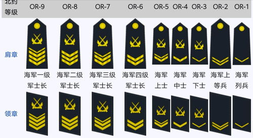 2021中国海军舰艇一览表（2021年中国海军战舰）