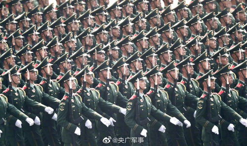 中国武警（中国武警部队有多少人）